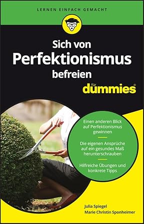 Sich von Perfektionismus befreien für Dummies cover image