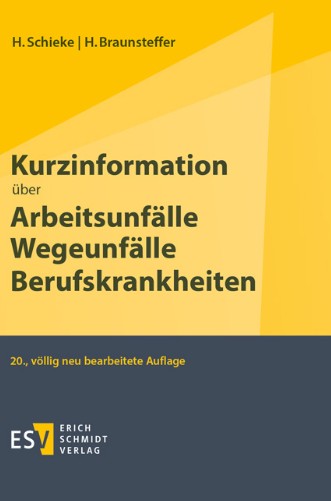 Kurzinformation über Arbeitsunfälle Wegeunfälle Berufskrankheiten