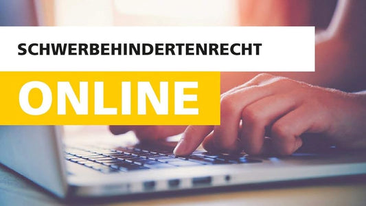 Schwerbehindertenrecht digital, 1 CD-ROM Gesetze, Verordnungen, Empfehlungen zum Schwerbehindertenrecht, Kommentar: Feldes/Kohte/Stevens-Bartol: SGB IX, Lexikon: Feldes/Ritz/Schmidt: Die Praxis der Schwerbehindertenvertretung von A bis Z, Recht cover image