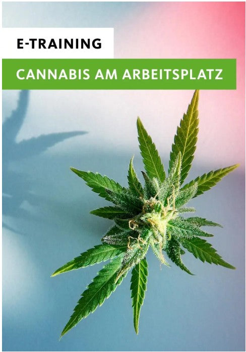 E-Training: Cannabis am Arbeitsplatz